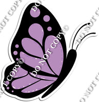 Lavender Butterfly w/ Variants