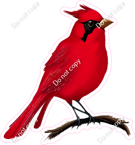 Cardinal Bird 2 w/ Variants