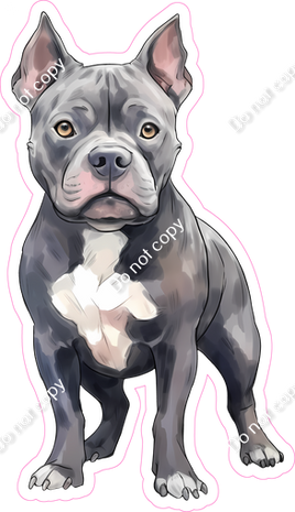 Grey Pit Bull Dog - Standing Pointed Ears w/ Variants