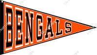 Pennant - Cincinnati Bengals w/ Variants