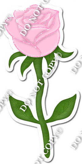 Pink Long Stem Rose