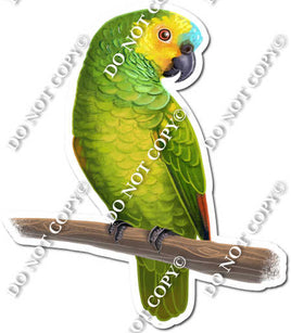 Green Parrot on Limb w/ Variants