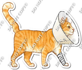 Cat with Cone Collar w/ Variants