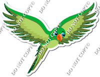 Green Hummingbird w/ Variants