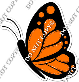 Orange Butterfly w/ Variants