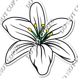 Lily- White w/ Variants