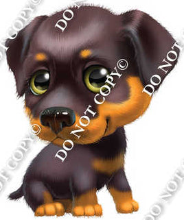 Furry Rottweiler Pup