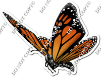 Monarch Butterfly 1 w/ Variants