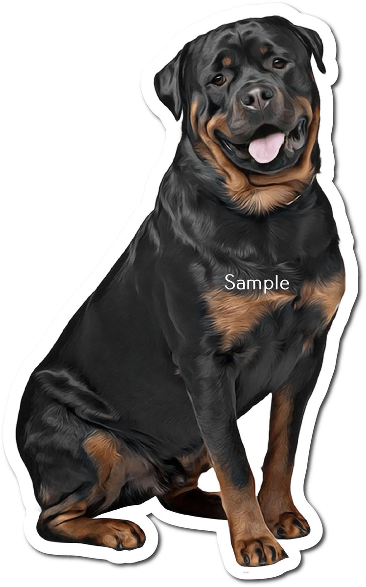 Rottweiler Dogs Club | Sleepy boy 😴. 🛍 You can order Short