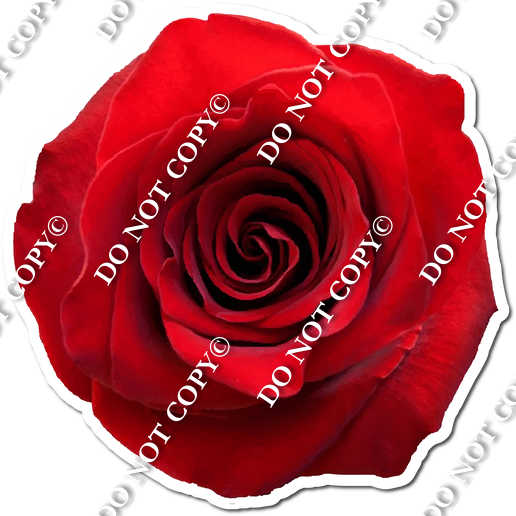 Red Rose| Sign Swag USA