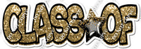 Black & Gold CLASS OF statement with Black Gold Foil Balloon w/ Variant