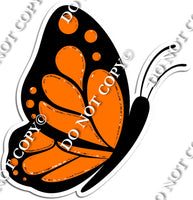 Orange Butterfly w/ Variants