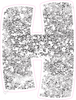 BBT 18" Individuals - Light Silver Sparkle H