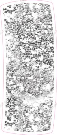 BBT 18" Individuals - Light Silver Sparkle I