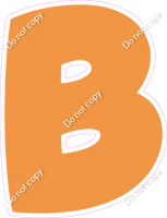 BBT 23.5" Individuals - Flat Amber B