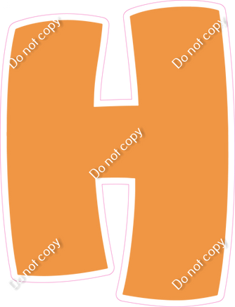 BBT 23.5" Individuals - Flat Amber H