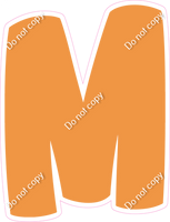 BBT 23.5" Individuals - Flat Amber M