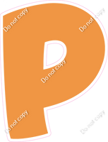 BBT 23.5" Individuals - Flat Amber P