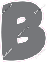 BBT 23.5" Individuals - Flat Grey B