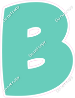 BBT 23.5" Individuals - Flat Mint B