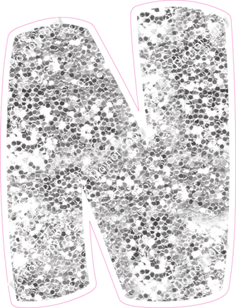 BBT 23.5" Individuals - Light Silver Sparkle N