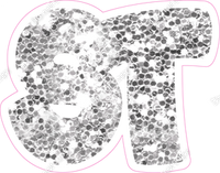 BBT 23.5" Individuals - Light Silver Sparkle ST