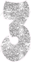BBT 47" Individuals - Light Silver Sparkle 3