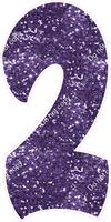 BBT 47" Individuals - Purple Sparkle 2