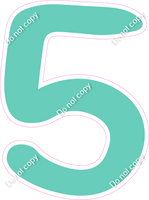 CU 23.5" Individuals - Flat Mint 5