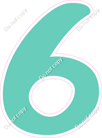 CU 23.5" Individuals - Flat Mint 6