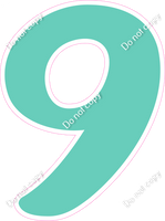 CU 23.5" Individuals - Flat Mint 9