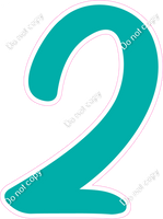 CU 23.5" Individuals - Flat Teal 2