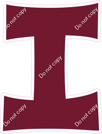 KG 12" Individuals - Flat Burgundy I