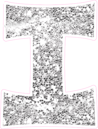 KG 12" Individuals - Light Silver Sparkle I