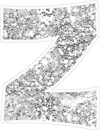 KG 12" Individuals - Light Silver Sparkle Z