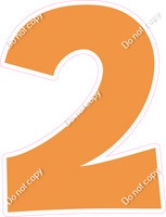 KG 18" Individuals - Flat Amber 2