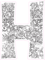 KG 18" Individuals - Light Silver Sparkle H