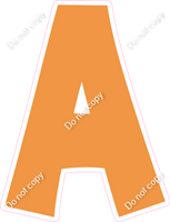 KG 23.5" Individuals - Flat Amber A