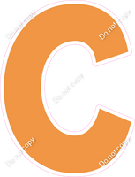 KG 23.5" Individuals - Flat Amber C