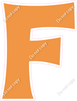 KG 23.5" Individuals - Flat Amber F