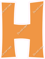 KG 23.5" Individuals - Flat Amber H