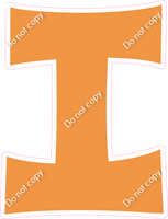 KG 23.5" Individuals - Flat Amber I