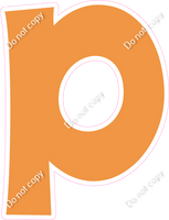 KG 23.5" Individuals - Flat Amber P