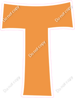 KG 23.5" Individuals - Flat Amber T