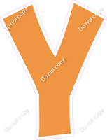 KG 23.5" Individuals - Flat Amber Y