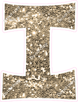 KG 23.5" Individuals - Khaki Sparkle I