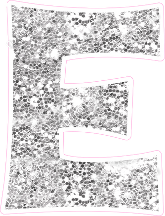 KG 23.5" Individuals - Light Silver Sparkle E