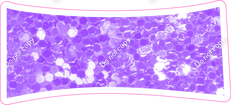 KG 23.5" Individuals - Lilac Sparkle Dash