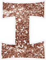 KG 23.5" Individuals - Rose Gold Sparkle I