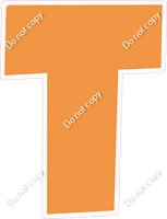 LG 12" Individuals - Flat Amber T